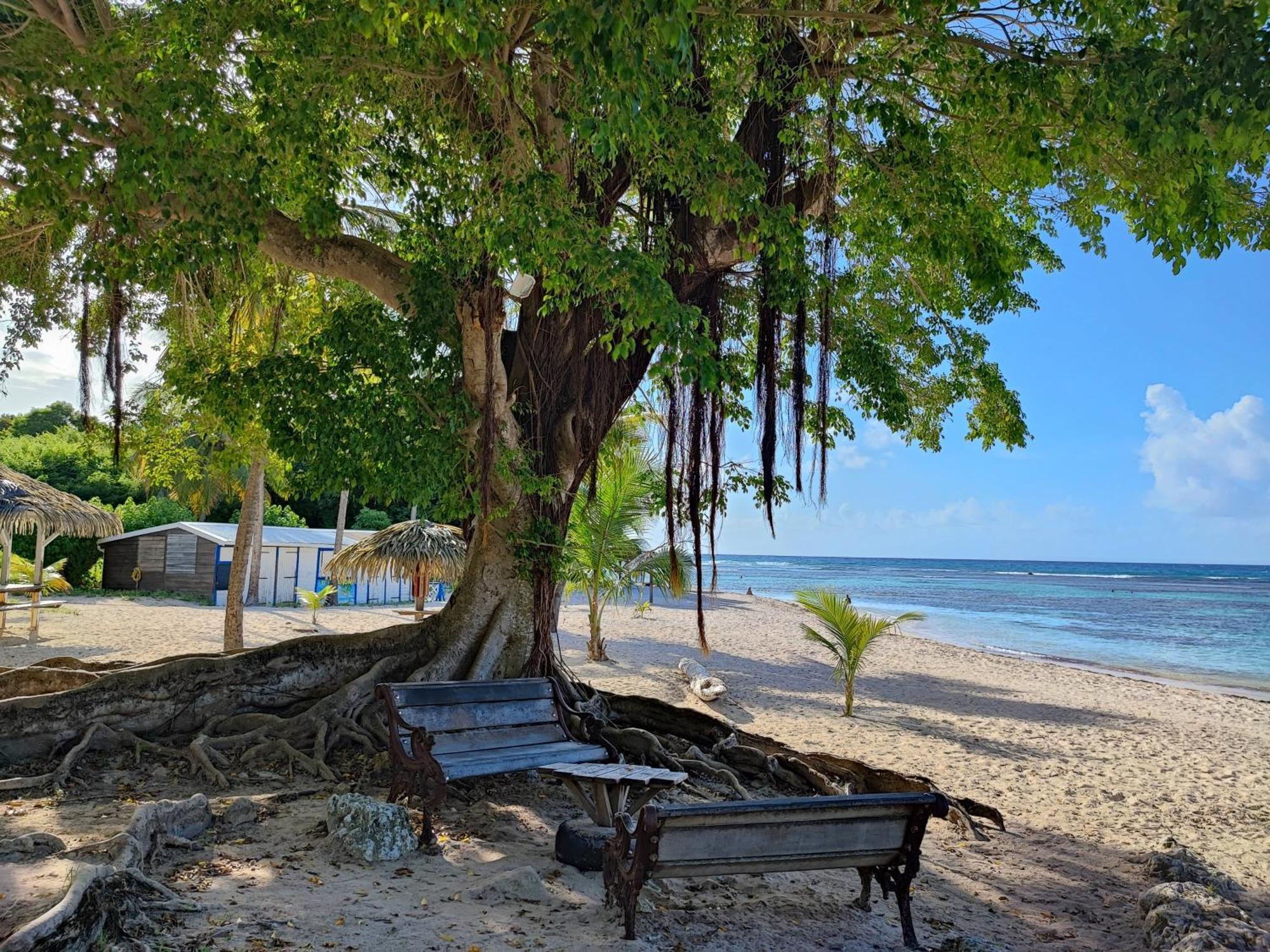 Studio Kawane Anse Des Rochers 303 Rdc, Cote Mer Saint-Francois  Εξωτερικό φωτογραφία